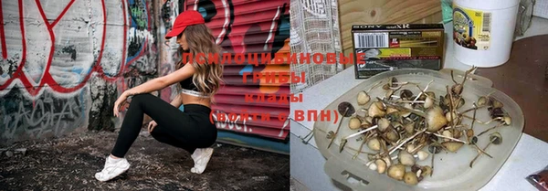 героин Богородицк