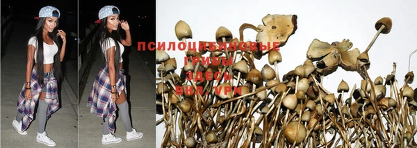 меф Богородск
