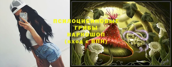 МДПВ Богданович